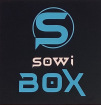 sowi box garde-meuble