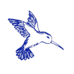 Saphir Azur Coaching