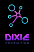 DIXIE CONSULTING informatique (logiciel et progiciel)