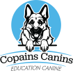 COPAINS CANINS Autres commerces et services